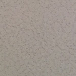 Meet your Posher, Ty